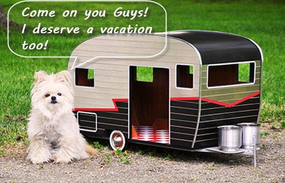 Simple Pet Care Tips for a Pet Friendly Caravan Holiday - Xtend Outdoors